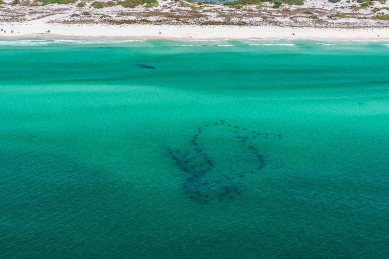 Gulf Place Cabanas 203 Santa Rosa Beach Dış mekan fotoğraf